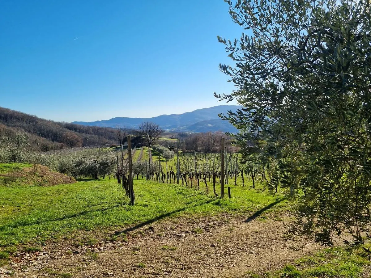 Bed & Breakfast Walkandrace Sant'Agata